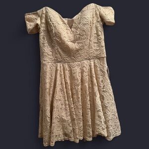 ✨ B Smart Champagne Lace Fit & Flare Dress - Size 13 (NWT) ✨